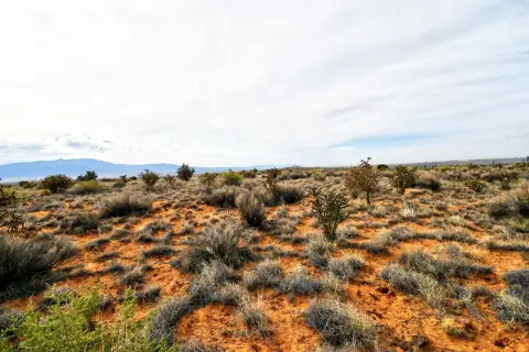 Vacant Lot in Rio Rancho