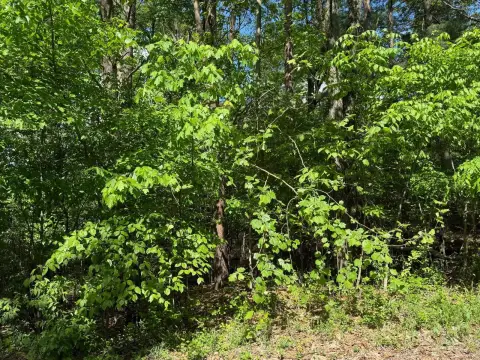 Land in Christmas Lake Village