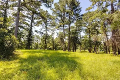 Tallahassee Land For Sale