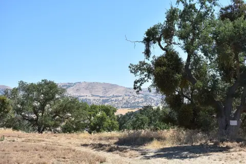 Residential Lot in Tehachapi, CA