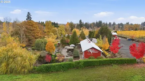 Vineyard and Winery Estate