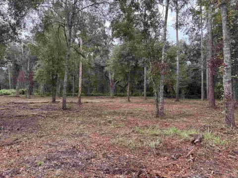 Hunting Land Near Wildlife Area