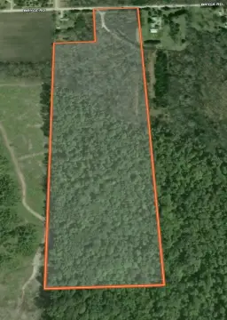 Wooded Hunting Land