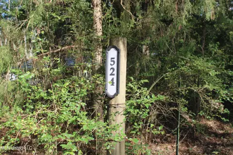 Canton Land with Mature Hardwoods