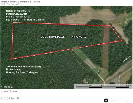 Timbered Hunting Land Parcel