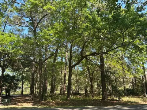 Premium Homesite on Hilton Head