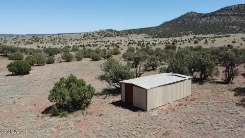 Land in Concho, Arizona