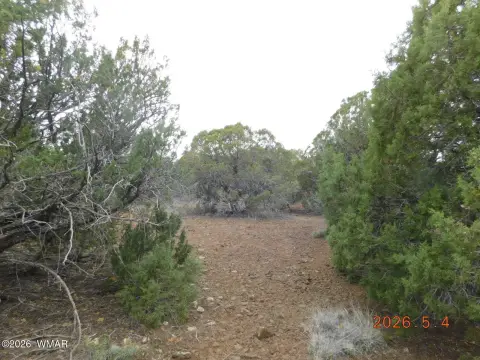 Mountain Lot with Lake Privileges
