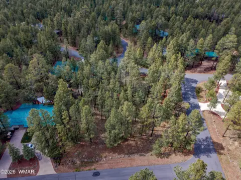 Pinetop Treed Lot For Sale