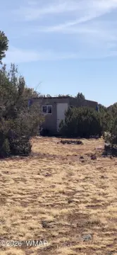 Concho Acreage with Shed