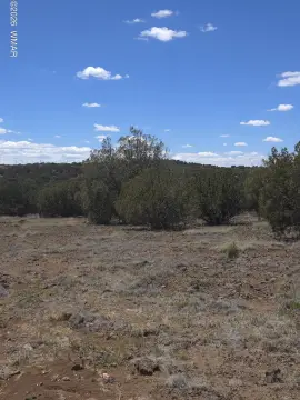 3.72 Acres in Silver Lake Estates
