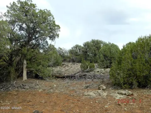 Land in Show Low, Arizona
