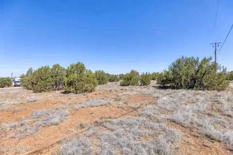Land in White Mountain Lakes