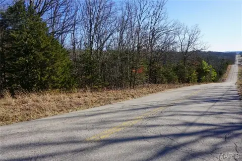 Picturesque Wooded Tract on Highway