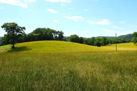 Rolling Horse Pasture Land Tract