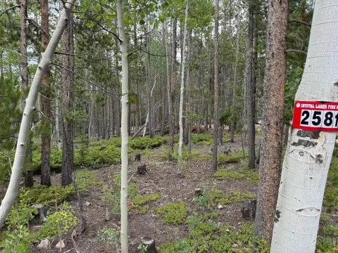 Red Feather Lakes Land Parcel