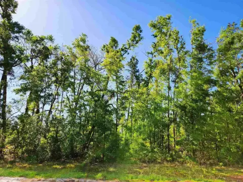 Land in Rural Jennings, Florida