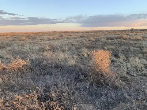 Land in Growing Moriarty Area