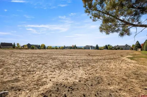 Montrose Residential Land Opportunity