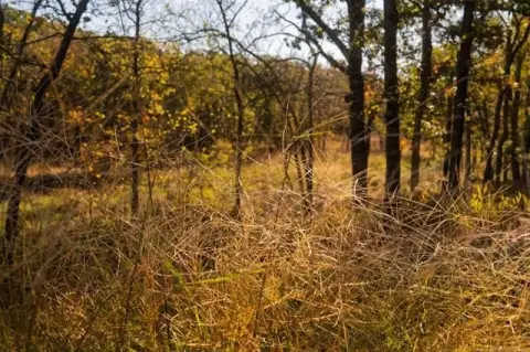 80 Acres in Winchester Reserve