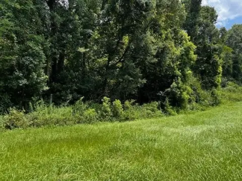 Rural Residential Farmland