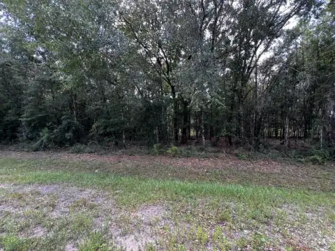 Pine-Managed Agricultural Land