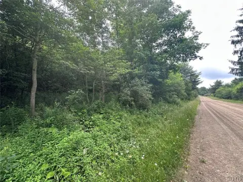 Hunting Land With Dual Road Frontage
