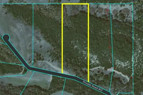 10 Acres Wooded Land