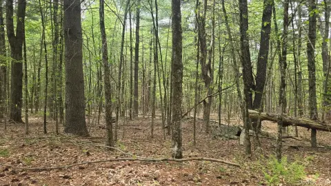 Three Acre Residential Land Parcel