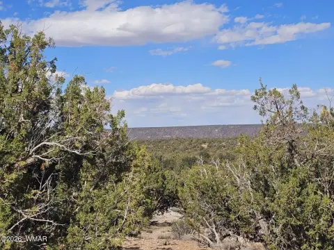 39.96 Acres in Snowflake, AZ