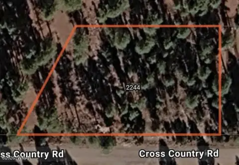 Land in Overgaard, Arizona