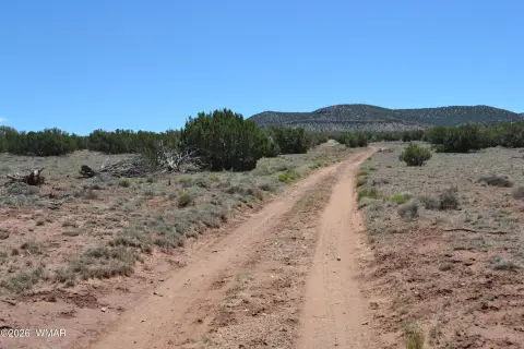 Heavily Treed Land in Concho