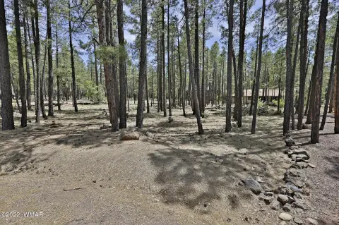 Pinetop Land with Utilities