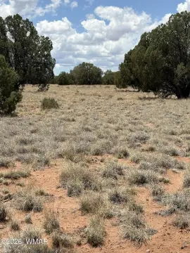 Concho, AZ Acreage Opportunity