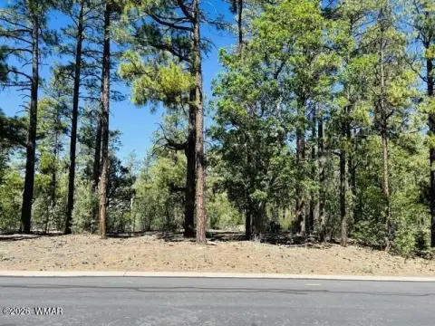 Show Low Treed Lot