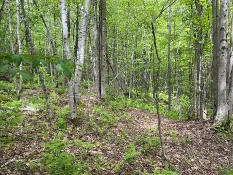 Adjacent Vacant Residential Lots