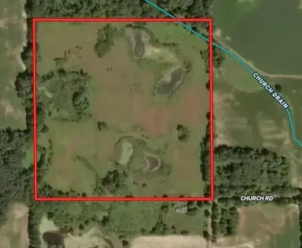Hunting Land with Mature Timber