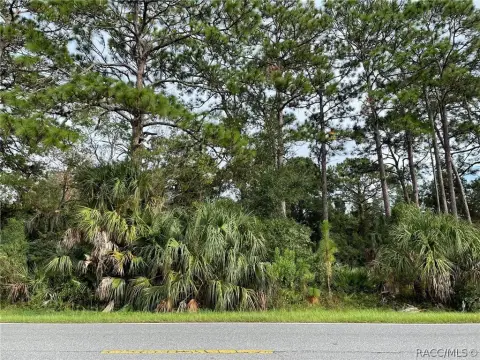 Homosassa Land on High-Traffic Corridor