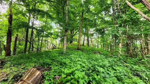 Unrestricted Mountain Acreage Tract