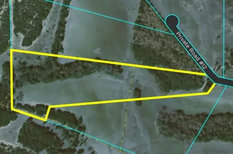 Secluded Land with Hunting Potential