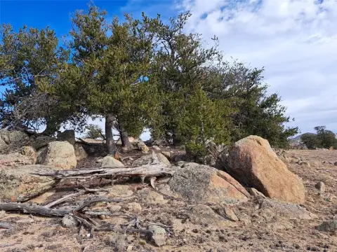 40 Acres in Wildwood Rec