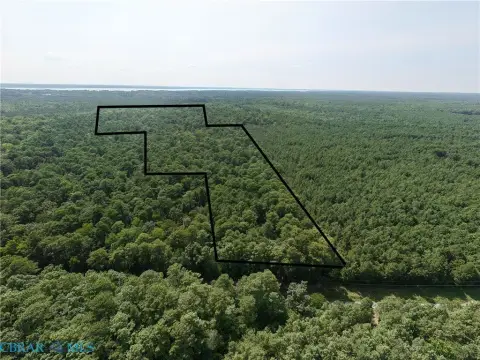 Wooded Land with Road Frontage