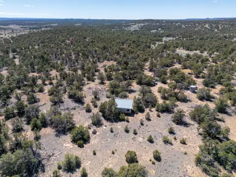 Heavily Wooded Land in Ramah, NM