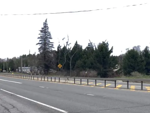 Commercial Lot on State Route