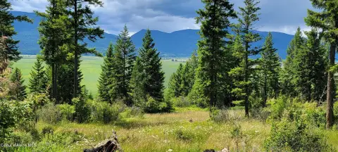 20-Acre Estate with Mountain Views