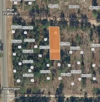 Six Lots Near Palatka