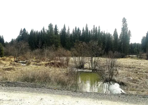 5 Acres on Santa Creek