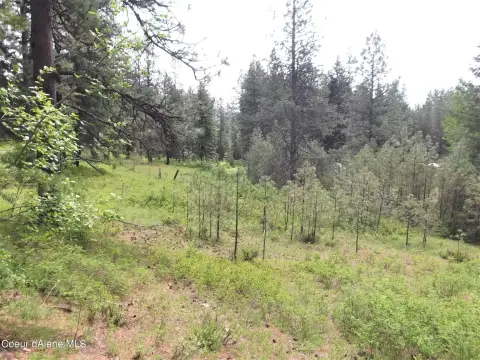 Secluded Land with Spectacular Views