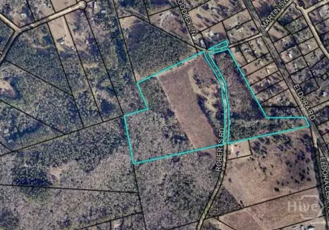 41.87 Acres in Bulloch County