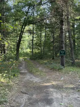 Hunting Land With Cabin